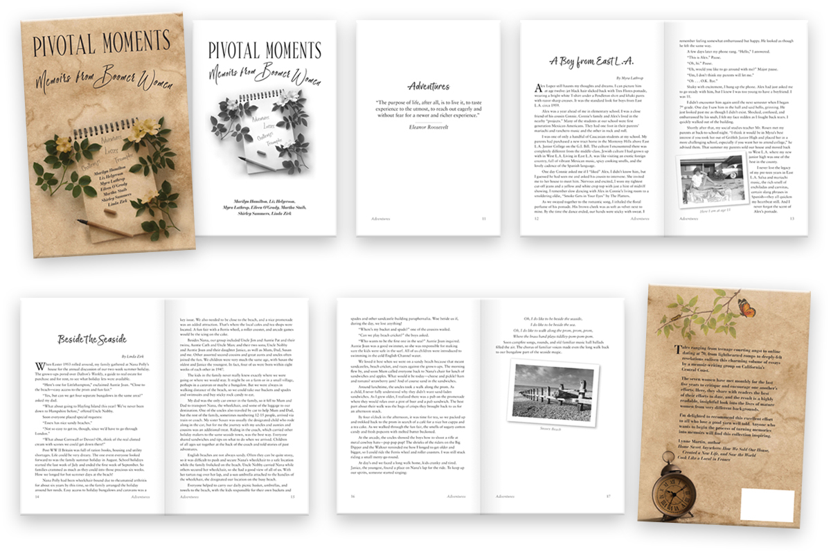 Cover and interior design and illustration for print on demand for AAUW scholarship fundraiser