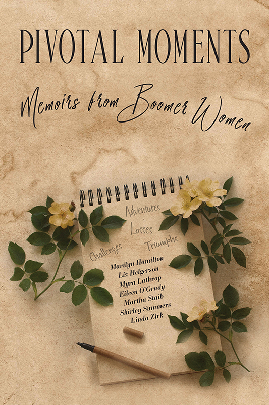 Cover illustration and design for AAUW organization